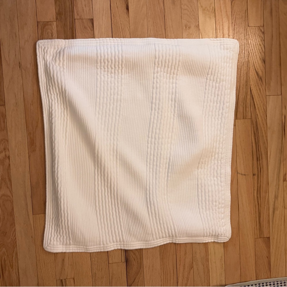 West Elm Euro Shams Set